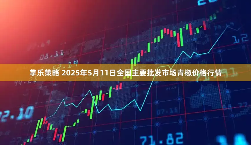 掌乐策略 2025年5月11日全国主要批发市场青椒价格行情