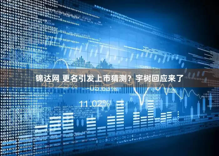 锦达网 更名引发上市猜测？宇树回应来了