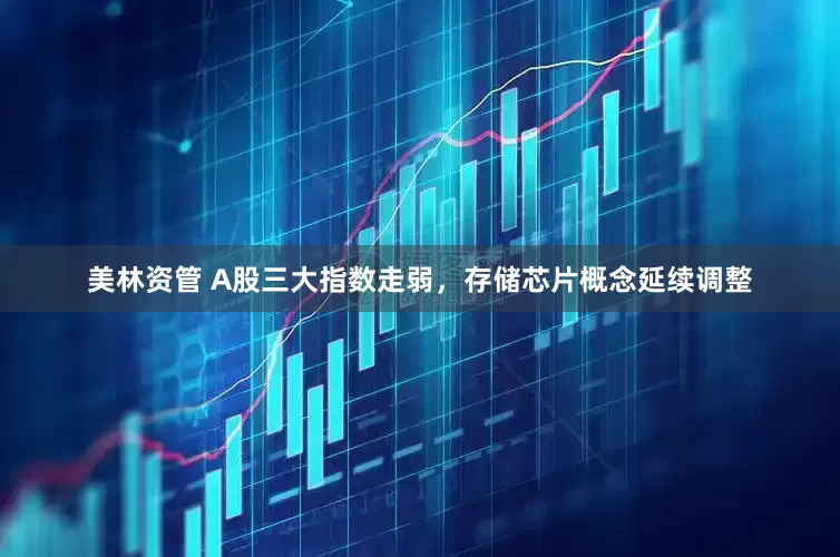 美林资管 A股三大指数走弱，存储芯片概念延续调整